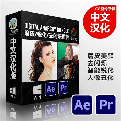 Download Digital Anarchy Bundle